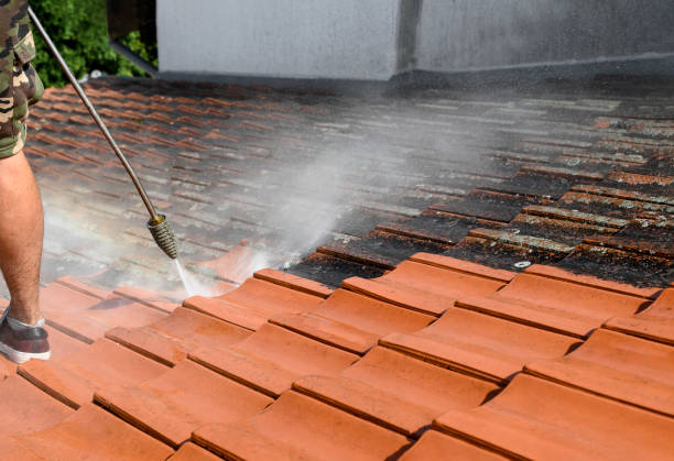 Best House Pressure Washing  in Rutherford, PA