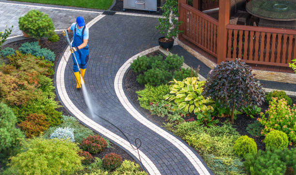 Best Pressure Washing Services Near Me  in Rutherford, PA